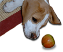 Bild von Appletiser