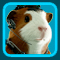 Bild von Stechhummel