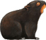 Benutzeravatar