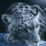 Bild von sciface