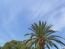 Bild von Summerholiday
