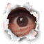 Bild von schulle