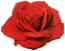 Bild von welle
