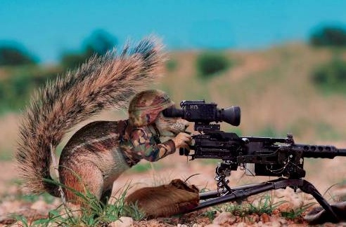 kurioses_akm.jpg