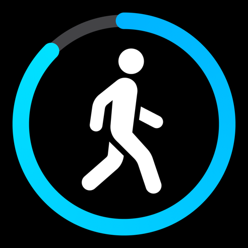 ‎StepsApp Schrittzähler