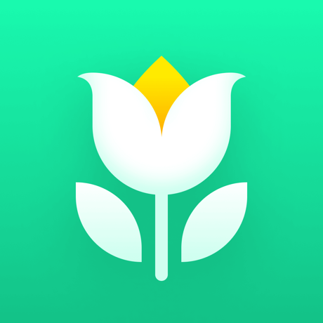 Plant Parent - Der Pflegeguide