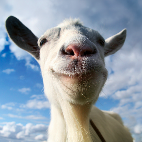 ‎Goat Simulator