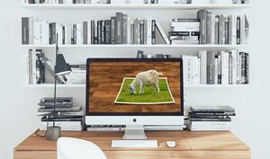 10 coole Mac-Apps für die Bildbearbeitung