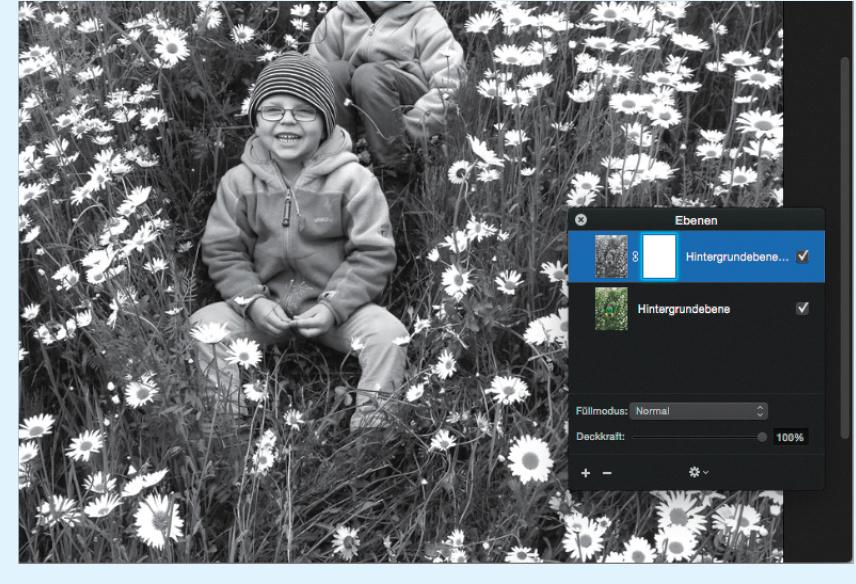 Pixelmator Diese Geheimen Profi Tricks Machen Aus Einem Farbbild