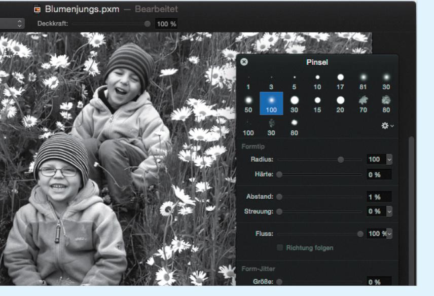 Pixelmator Diese Geheimen Profi Tricks Machen Aus Einem Farbbild Ein Kunstlerisches Schwarz Weiss Foto Mac Life