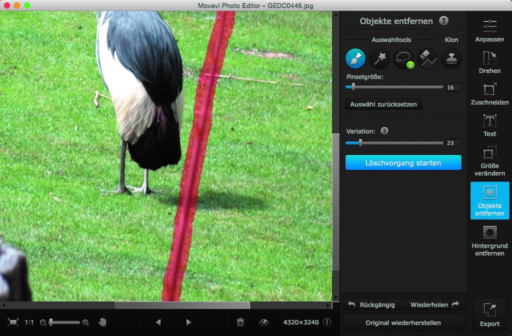 Movavi Photo Editor Storende Bildelemente Entfernen So Geht S Mac Life
