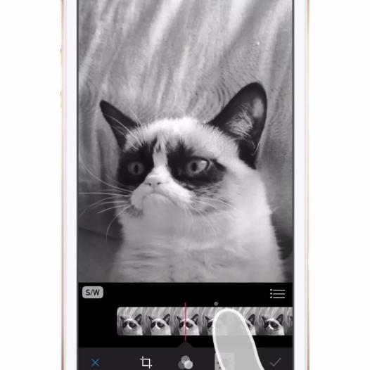 Ios 8 Video Tipp Fotos Mit Schwarz Weiss Filter Versehen So Geht S Mac Life