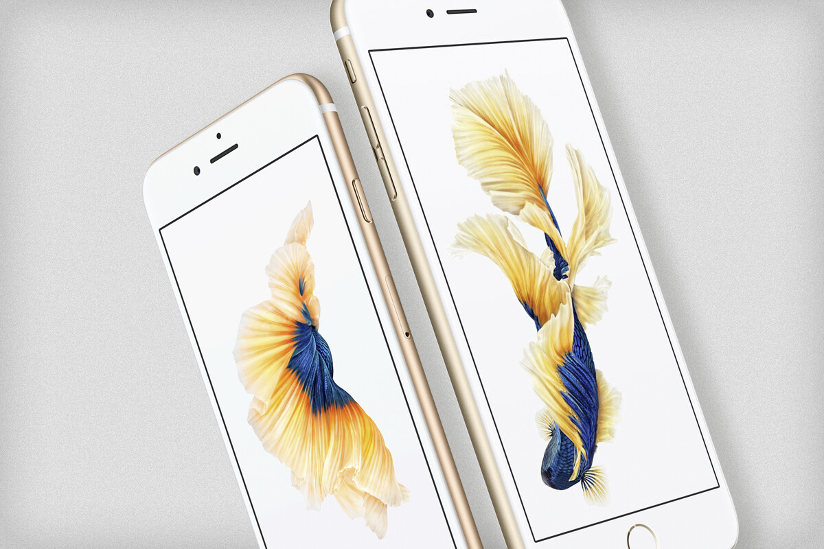 iPhone 6s oder iPhone 6s Plus: Die Kaufberatung | Mac Life