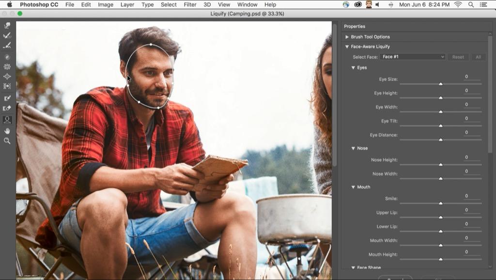 liquify tool online