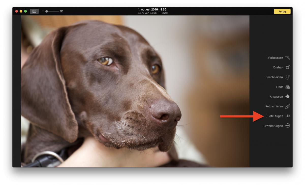 Fotos App Rote Augen Reduzieren Funktion Dauerhaft Anzeigen Mac Life