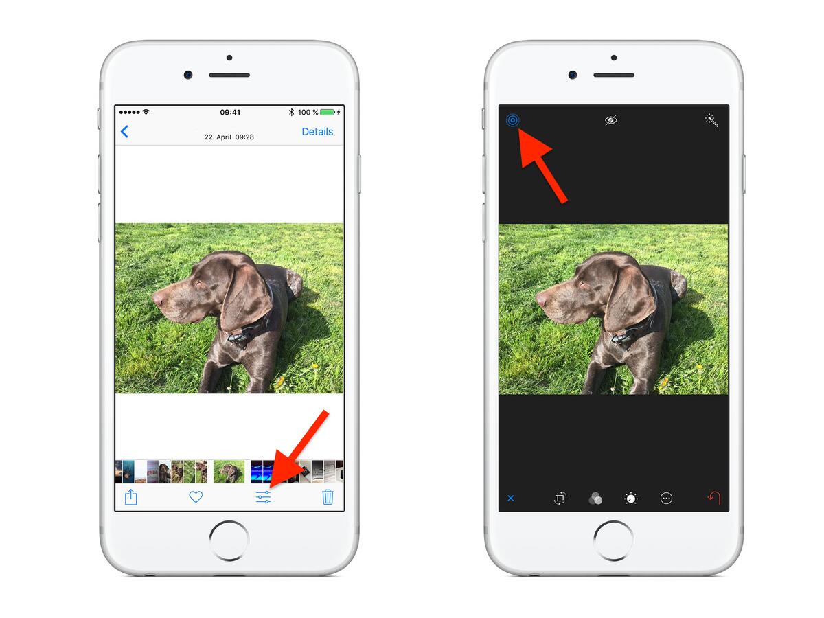 Live Photos in normale Fotos umwandeln so geht's Mac Life