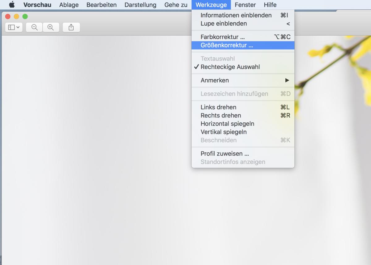 Bildauflosung Verringern So Geht S Am Mac Mac Life