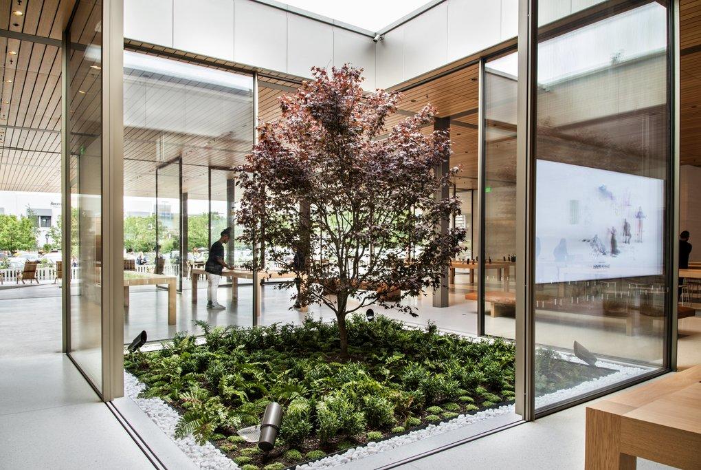 Neuer Apple Store in Seatle mit Atrium-Garten und Terrazzo-Veranda