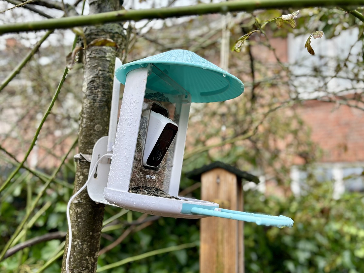 NETVUE Birdfy Vogelhaus mit Kamera, Vogelfutterstation