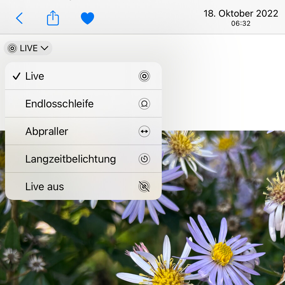 Faszinierend Kabel Ein Live Fotosnull