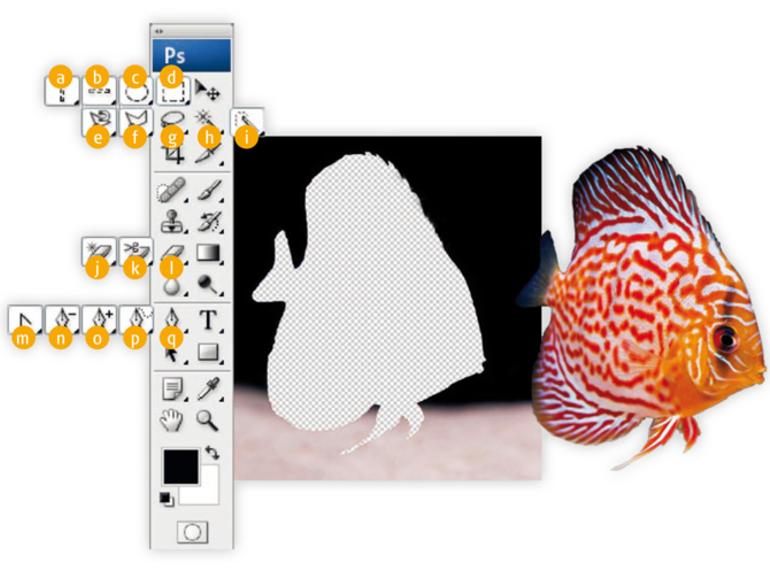 Basiswissen Fur Photoshop Einsteiger Mac Life