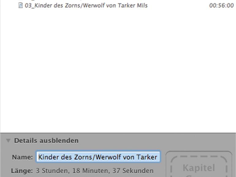 Dateien können erst nach dem Import von CD als Hörbücher kategorisiert werden, vorher bleibt das Feld Medienart ausgegraut.
