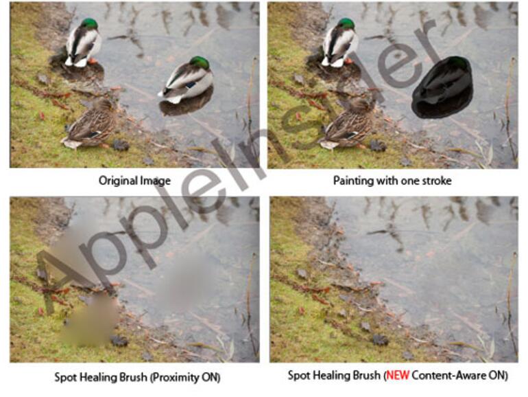 <b>Photoshop CS5: </b> Unerwünschte Objekte können in CS5 noch leichter entfernt werden