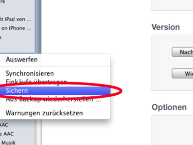 <b>Wer im Vorfeld der Veröffentlichung von iOS 4 iTunes 9.2. installiert, seine Apps aktualisiert und ein Backup erstellt, spart am heutigen Abend wertvolle Zeit</b>