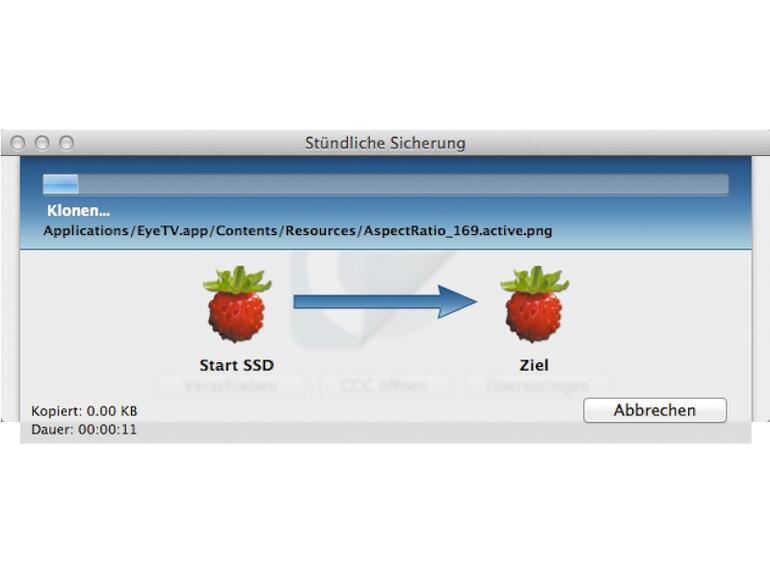 Über den Sicherungsfortschritt informiert ein Balken.