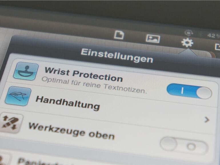 „Wrist Protection“