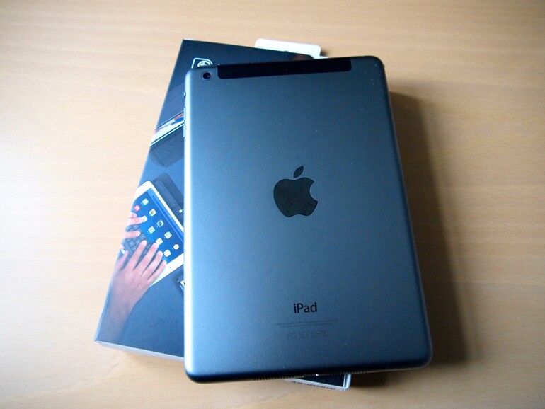 iPad mini in Space-Grau