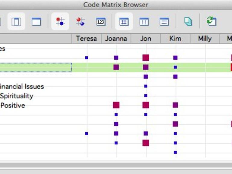 MAXQDA Code-Matrix-Browser
