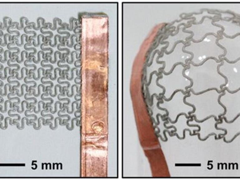 Dabei hat das Feld riesiges Potenzial