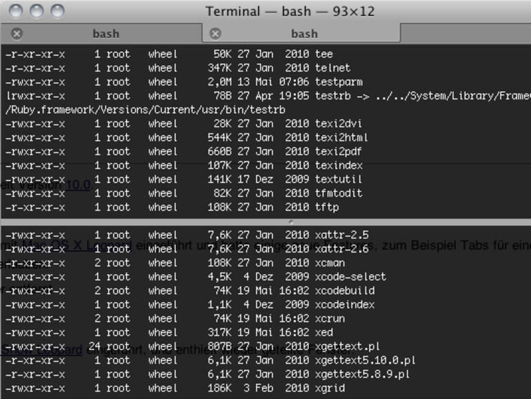 Die Bash Shell in einem OS-X-Terminal.
