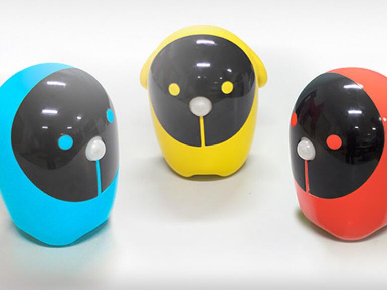 Rico in mehreren Farbstellungen