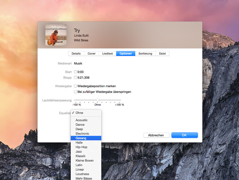 Der Equalizer für die richtigen Soundeinstellungen in iTunes