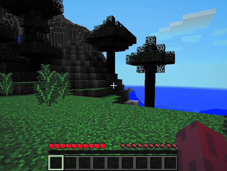 Minecraft: In Minecraft ist so gut wie alles möglich. Man kann eine Welt wie aus einem Lego-Baukasten erschaffen und versucht, in dieser zu überleben. Viele Spieler haben bereits Ihre Heimatstadt oder berühmte Gebäude aus aller Welt nachgebaut.