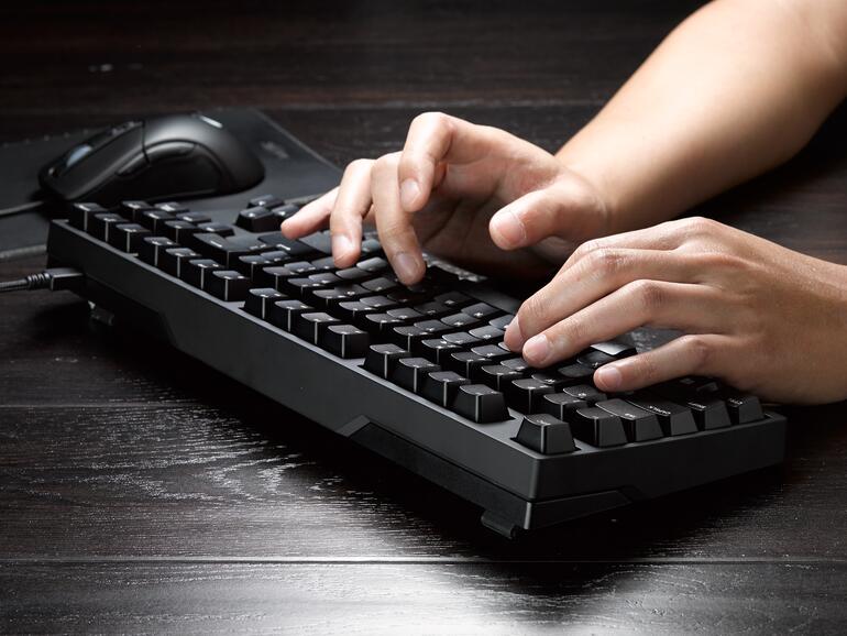 Die NovaTouch TKL ist auch bestens für Vieltipper geeignet