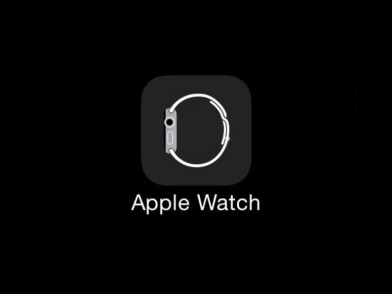 Das Icon der Companion App für die Apple Watch - vielleicht noch nicht final