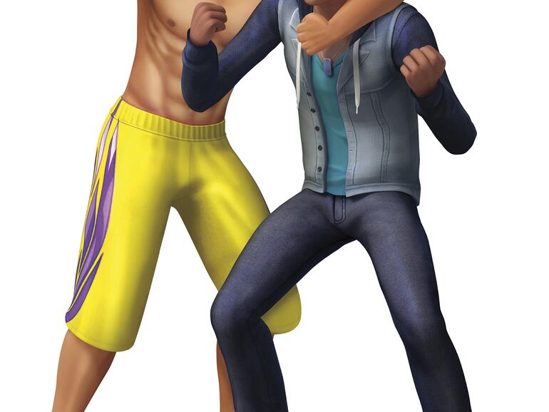 Bros (Die Sims 4)