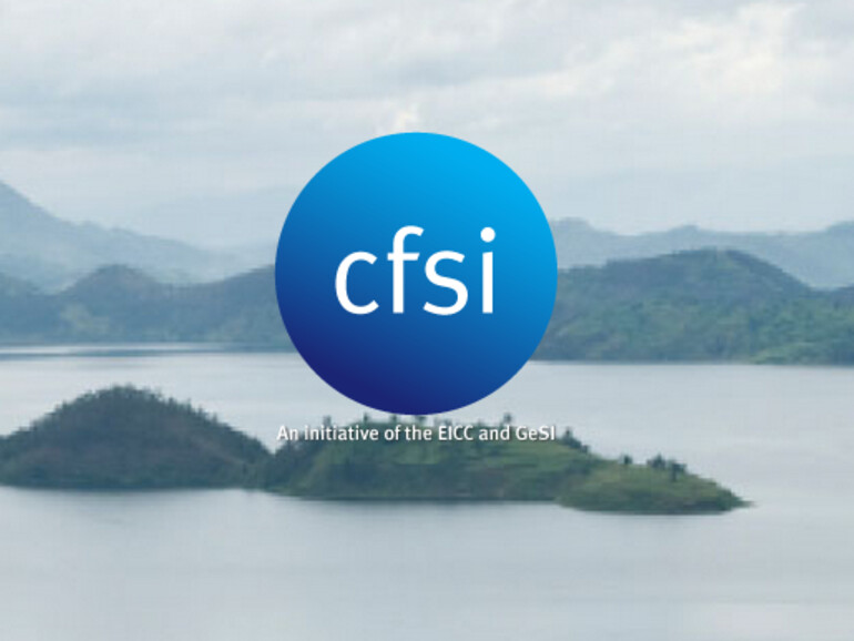 Das Unternehmen hat einen Audit der Organisation Conflict-Free Sourcing Initiative eingeführt