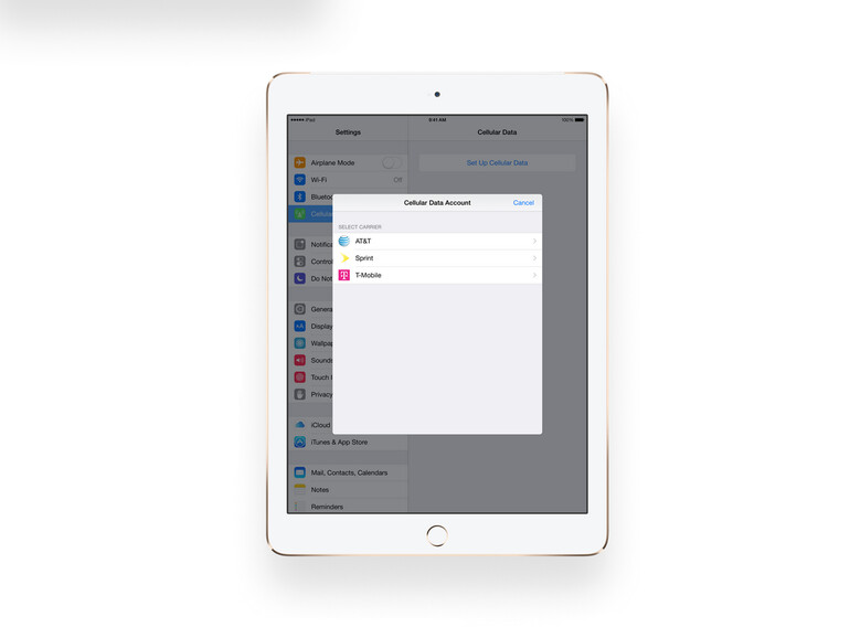 Apple verwendet diese Apple SIM genannte Technologie bereits beim iPad Air 2