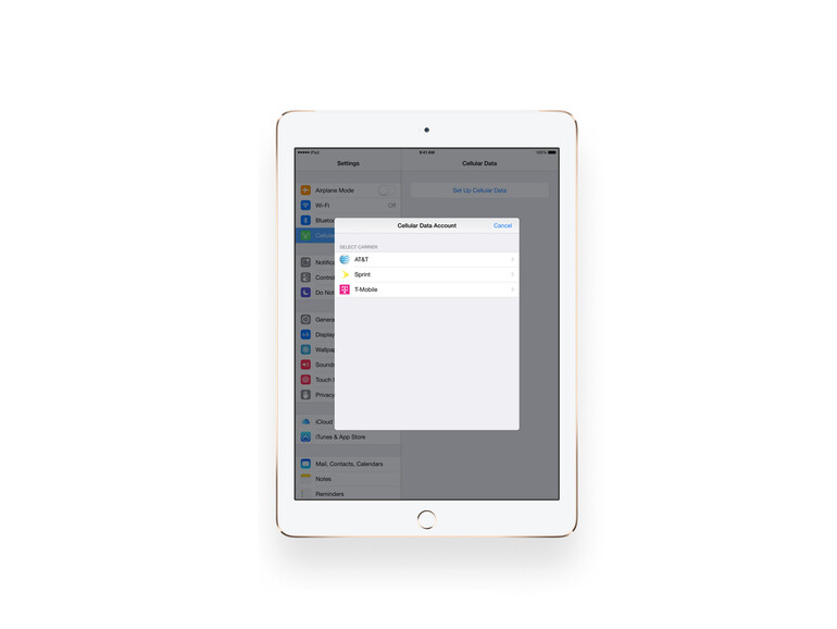 Bei Apple SIM werden die Informationen, die auf einer SIM-Karte abgespeichert sind, in iOS abgelegt