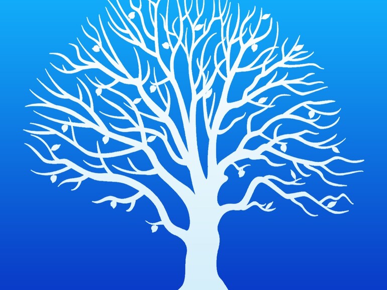 Icon von MacStammbaum 7