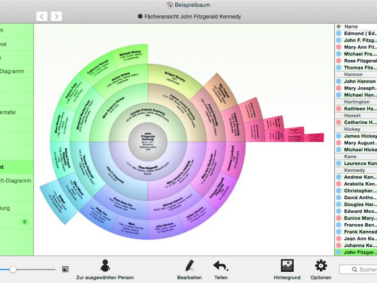 Bei der Fächeransicht in MacStammbaum 7 wird die ausgewählte Person in der Mitte und Nachkommen oder Vorfahren in Kreissegmenten angeordnet.