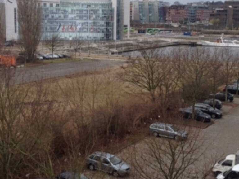 User, die dem Live-Stream beitreten, werden unten links angezeigt