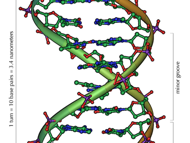 Dem Bericht von technologyreview.com zufolge sollen bereits erste konkrete Planungen für das Sammeln der DNA existieren
