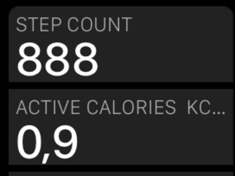 Die Anzeige der Gesundheitsdaten sehen relativ schlicht aus, sodass man für tiefgreifende Daten doch lieber zum iPhone greifen sollte