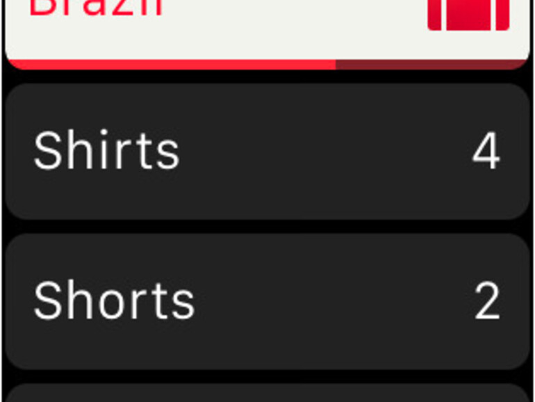 Mein Reiseplaner - nie mehr das wichtistge Gepäckstück vergessen