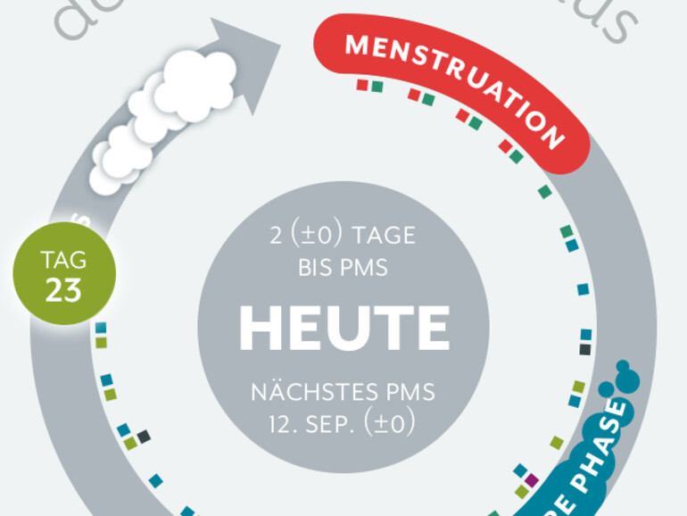 Die App zeigt Ihren aktuellen Zyklus Anhand eines übersichtlichen Kreises an, der auf unnötige Details verzichtet.